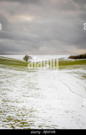 Landschaft in den South Downs National Park im Winter 2019, Hampshire, England, Großbritannien Stockfoto