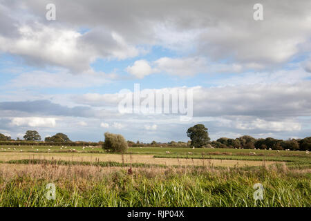 Blick über die Felder einer ländlichen Landschaft der Montgomery Kanal in der Nähe von Lower Frankton Ellesmere Shropshire England Stockfoto