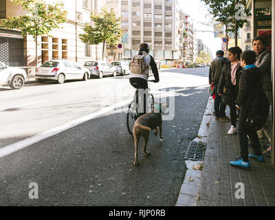 BARCELONA, SPANIEN - 11.Oktober 2017: Rückansicht des Menschen Reiten Fahrrad mit Hund an der Leine läuft neben ihm in der Nähe der Straße Bus Station auf der Via Augusta Barcelona Stockfoto