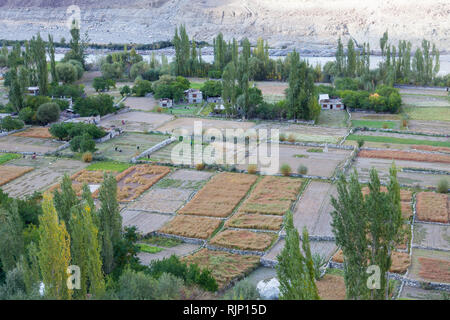 Herbstliche Landschaft von Turtuk Dorf im Nubra Tal (teilweise entlang des Flusses Shyok) in der Nähe der Linie der 22.9.2002, Ladakh, Jammu und Kaschmir, Indien Stockfoto