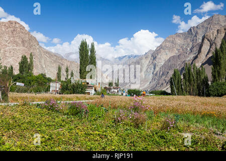 Die schöne Landschaft der Turtuk Dorf im Nubra Tal (teilweise entlang Shyok Fluss entfernt) in der Nähe der Linie der 22.9.2002, Ladakh, Jammu und Kaschmir, Indien Stockfoto