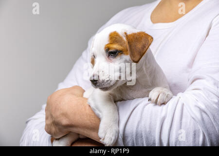 Horizontale Portrait von Stattlichen fröhliche Mann hält Jack Russell terrirer, hat mich Ausdruck Stockfoto
