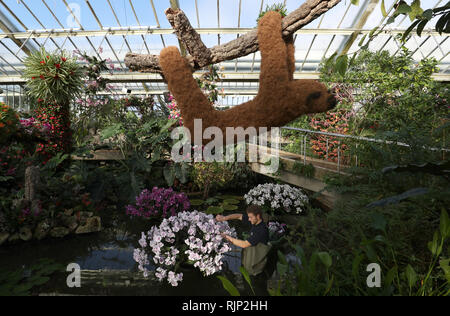 Ein Gärtner macht einige abschließende Anpassungen während der Vorschau für die Kew Orchid Festival: Die Farbe von Kolumbien, Anzeige an die Royal Botanic Gardens, Kew, West London Feiern. Stockfoto