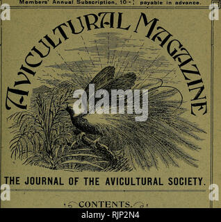 . Der Avicultural Magazin. Vögel; Vogelkäfig. Neue Serie. Vol. VII. Nr. 8 monatlicher Preis I®-d** - Juni, 1909 i Mitglieder Jahresbeitrag, 10', zahlbar im Voraus.. a-Barllett das blutende Herz Taube, von T.H, Nkwman Zuchtgeschehen im Dschungel, durch Bush-Quail Norivhn F. CocKiax der Ruby-throated Bulbul, durch Rkginai. d Phillipps meine japanischen Rose-Finches, von Collingwood Ingram eigentümliche Nesting - Website von Mallaril, von F. Bakbkr-Starkky Vögel eines Bloenifontein Garten, l) y B. R. Horsburoh CORRESPONDKNCK, NOTKS, KIC. ; Aufzucht Demoiselle Krane unter Henne, 247; junge Schwarze ist Lovebirds Sterben Stockfoto