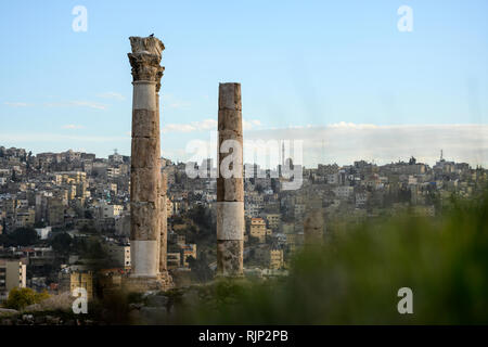 Tolle Aussicht auf einige herrliche Spalten in der Zitadelle von Amman, Jordanien. Die Zitadelle von Amman ist ein historischer Ort im Zentrum der Innenstadt von Amman, Jordanien. Stockfoto