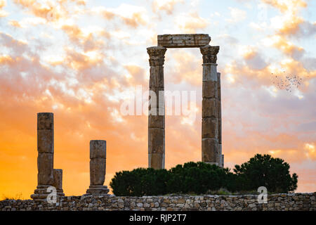 Tolle Aussicht auf einige herrliche Spalten in der Zitadelle von Amman bei einem schönen Sonnenuntergang, Jordanien. Stockfoto