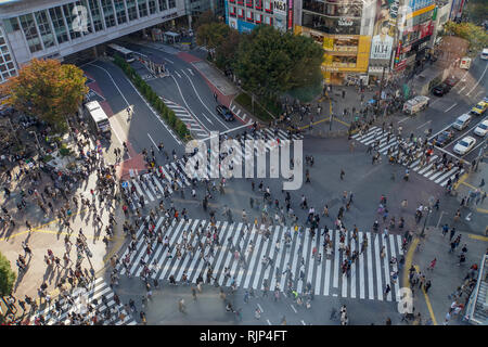 Erhöhte Ansicht einer Krähte der Fußgänger ein 4 Wege Zebrastreifen im Zentrum von Tokio, Japan Stockfoto