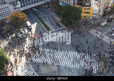 Erhöhte Ansicht einer Krähte der Fußgänger ein 4 Wege Zebrastreifen im Zentrum von Tokio, Japan Stockfoto