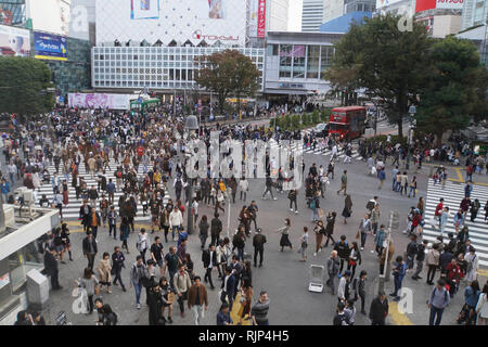 Erhöhte Ansicht einer Krähte der Fußgänger ein 4 Wege Zebrastreifen im Zentrum von Tokio, Japan Stockfoto