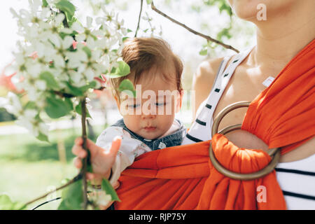 Mutter Kind Baby in wrap Schleuder in Park. Frühling. Konzept der natürlichen parenting glückliche Familie Frühling Konzept Stockfoto