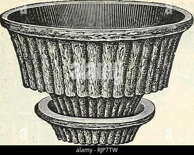 . Herbst Glühlampen: 1894. Gartengeräte und Zubehör Kataloge; Samen Kataloge, Leuchtmittel (Pflanzen) Kataloge Kataloge; Blumen; Blüten Samen Kataloge. Hängende SHELL.. Bitte beachten Sie, dass diese Bilder sind von der gescannten Seite Bilder, die digital für die Lesbarkeit verbessert haben mögen - Färbung und Aussehen dieser Abbildungen können nicht perfekt dem Original ähneln. extrahiert. Peter Henderson &Amp; Co; Henry G. Gilbert Baumschule und Saatgut Handel Katalog Kollektion. New York: Peter Henderson &Amp; Co. Stockfoto