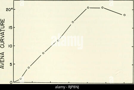 . Auxine und das Wachstum von Pflanzen. Auxin; das Wachstum der Pflanzen Stoffe fördern. Extraktion und Messtechnik 25. 0 D 5 0,1 0,15 ERM. Von AUXIN 0,20 0,25 0,3 mg/L. Bitte beachten Sie, dass diese Bilder sind von der gescannten Seite Bilder, die digital für die Lesbarkeit verbessert haben mögen - Färbung und Aussehen dieser Abbildungen können nicht perfekt dem Original ähneln. extrahiert. Leopold, A. Carl (Aldo Carl), 1919 -. Berkeley, Universität von Kalifornien drücken Sie Stockfoto