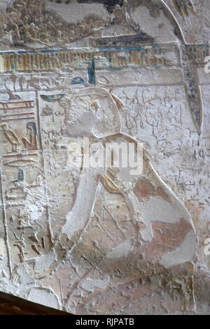 Ein Foto im Grab KV 8 im Tal der Könige, das Begräbnis des Pharao Merenptah des Alten Ägypten das 19. Dynastie verwendet. Merneptah oder Merenptah (regierte Juli oder August 1213 BC - Mai 2, 1203 v. Chr.) war der vierte Herrscher des neunzehnten Dynastie des alten Ägypten. Stockfoto