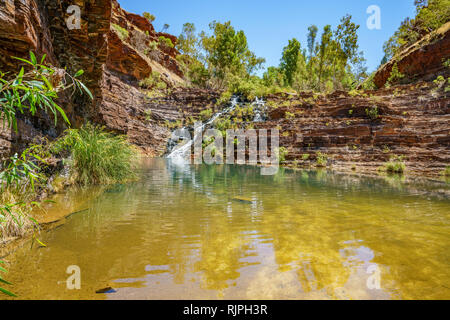 Wandern fortescue fällt in Dales Gorge Karijini National Park, Western Australia Stockfoto