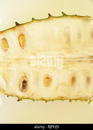 Guanabana, Soursop, São Paulo, Brasilien Stockfoto