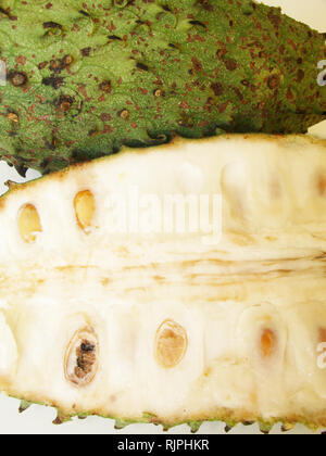 Guanabana, Soursop, São Paulo, Brasilien Stockfoto