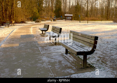 Eine Reihe von leeren, schneebedeckten Parkbänke an einem Weg im Schatten. Sonnige Hintergrund zeigt Blatt - weniger Bäume im Hintergrund. Stockfoto