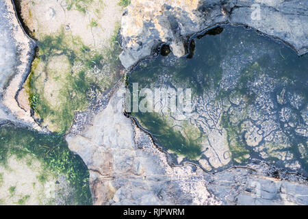 Bamburgh Castle & Strand Stockfoto