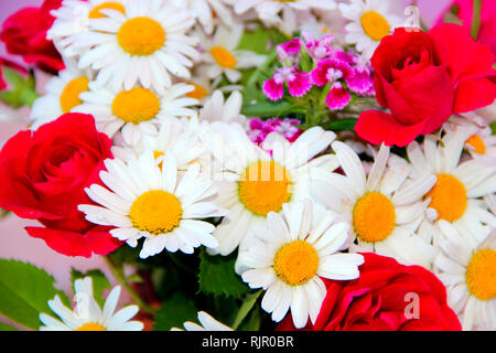 Blumenstrauß aus den weißen Gänseblümchen rote Rosen rote dianthus Barbatus. Zarte vorhanden. Kamillenblüten. Sommer Blumen close-up. Die Blütezeit. Blühende Blumen Stockfoto