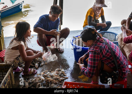 Kambodscha, Preah Koh Kong, Prek Kaoh Pao Fluss, Dong Tung Hafen Gebäude, Angeln Familie Sortierung Fang von Krebsen am Kai Stockfoto