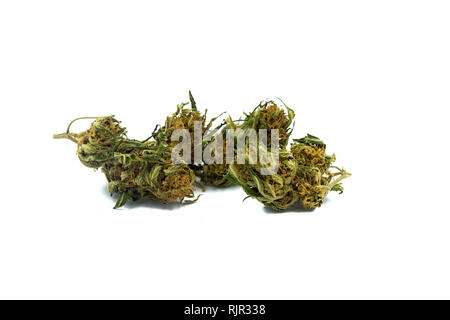 Marihuana Knospen auf weißem Hintergrund Stockfoto