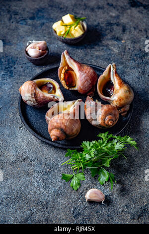 Rohstoffe riesige ESCARGOT vom Pazifischen Ozean. Chilenische großen Schnecken, Butter, Knoblauch und Petersilie. Stockfoto