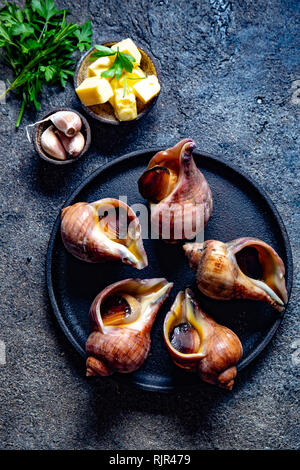 Rohstoffe riesige ESCARGOT vom Pazifischen Ozean. Chilenische großen Schnecken, Butter, Knoblauch und Petersilie. Stockfoto