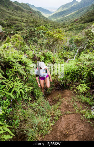 Wanderer Wandern im Regenwald, Moanalua Valley Trail, Oahu, Hawaii Stockfoto