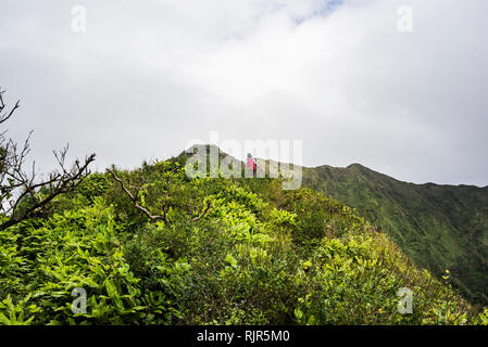 Wanderer Wandern im Regenwald, Moanalua Valley Trail, Oahu, Hawaii Stockfoto