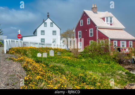 Bunte weatherboarded Häuser in Trinity, Neufundland Stockfoto