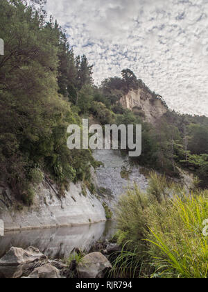 Wald Busch bewachsenen Bergrücken und Klippen erheben sich über Ahuahu Stream, Whanganui River, North Island, Neuseeland Stockfoto