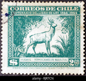 South Andean deer auf alten chilenischen Briefmarke Stockfoto