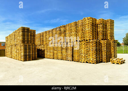 Euro-Paletten für Fracht und Logistik im Lager Stockfoto