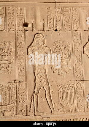 Ägyptischen Pharao macht ein Angebot. Von einer Entlastung im Tempel der Hathor, Dendera Ägypten Stockfoto