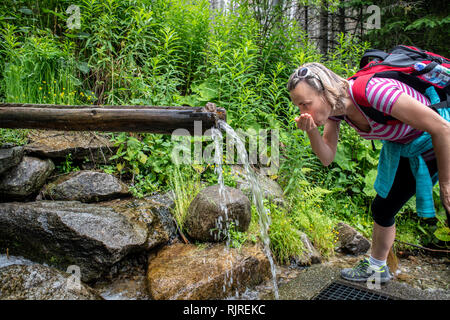 Eine Frau trinkt Wasser aus einem Protokoll Wasserstrom des Nationalparks Hohe Tatra, Woiwodschaft Kleinpolen, Polen. Stockfoto