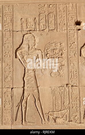 Ägyptischen Pharao macht ein Angebot. Von einer Entlastung im Tempel der Hathor, Dendera Ägypten Stockfoto