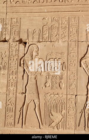 Ägyptischen Pharao macht ein Angebot. Von einer Entlastung im Tempel der Hathor, Dendera Ägypten Stockfoto