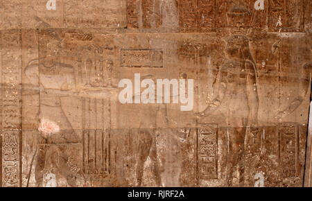 Relief zeigt Haby die ägyptischen Götter, im Tempel der Hathor, Dendera, Ägypten Stockfoto