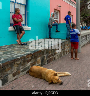 Urbane Jugendliche sehen Sie eine Szene, die sich in der Bo Kaap Gegend von Kapstadt in Südafrika mit einem Hund auf dem Boden Stockfoto