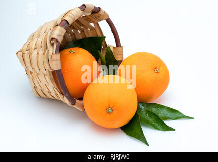 Frisch und roh Orangen mit grünen Blättern im rustikalen Weidenkorb. Auf weissem Hintergrund. Stockfoto