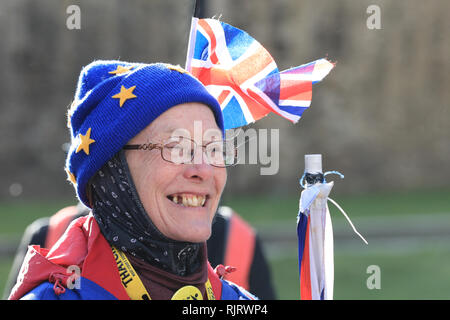 Westminster, London, UK, 7. Feb 2019. Pro- und Anti-Brexit Demonstranten Kundgebung mit Fahnen und Plakaten außerhalb der Häuser des Parlaments und des Cabinet Office in Westminster heute. Credit: Imageplotter Nachrichten und Sport/Alamy leben Nachrichten Stockfoto