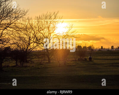 Sheerness, Kent, Großbritannien. 7. Februar, 2019. UK Wetter: der Winter Sonnenuntergang am Barton's Point Coastal Park in Sheerness, Kent. Credit: James Bell/Alamy leben Nachrichten Stockfoto