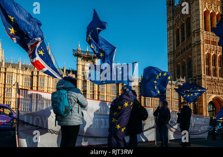 London, Großbritannien - Feb 7, 2019: Pro- und Anti-Brexit Demonstranten, Westminster, London, UK Credit: Alexandre Rotenberg/Alamy leben Nachrichten Stockfoto