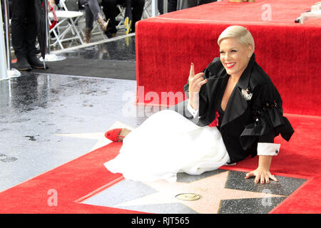 Los Angeles, CA, USA. 5. Februar, 2019. LOS ANGELES - FEB 5: Pink, Alecia Moore im Pink Star Zeremonie auf dem Hollywood Walk of Fame am 5. Februar 2019 in Los Angeles, CA Credit: Kay Blake/ZUMA Draht/Alamy leben Nachrichten Stockfoto