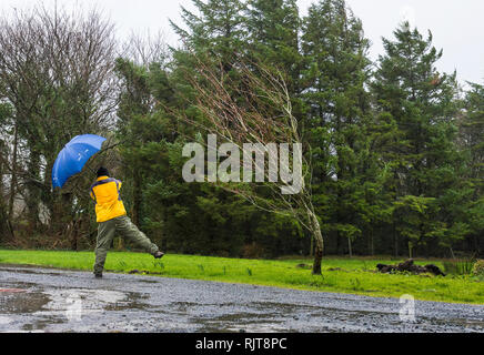 Ardara, County Donegal, Irland. 8. Februar 2019. Ein Mann kämpft mit einem Regenschirm als Sturm Erik auf dem Norden ankommt - West Coast. Credit: Richard Wayman/Alamy leben Nachrichten Stockfoto