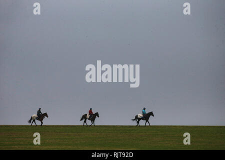 Newmarket, Großbritannien. 8 Feb, 2019. Rennpferde sind durch ihre Schritte in den frühen Morgen auf den galoppaden in Newmarket, Suffolk, Großbritannien. Bild von der Credit: Jason Mitchell/Alamy leben Nachrichten Stockfoto
