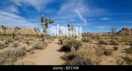 Joshua Tree Nationalpark Stockfoto