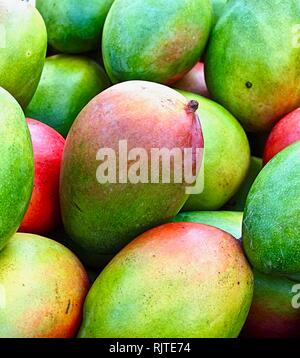 Makro von frischem Mango Obst an einem Lebensmittelmarkt Stockfoto