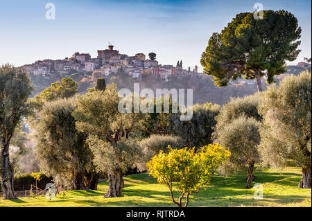 Frankreich. Alpes-Maritimes (06). Cagnes-sur-Mer Blick vom Haus' bei Colettes 'Renoir Museum Stockfoto