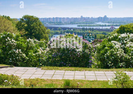 Kuppeln der Vydubychi Kloster unter vielen blühenden Flieder und frische grüne Laub auf dem Hintergrund der Dnipro River, Brücke und Wohnhaus Stockfoto